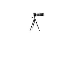 Photographers in Dubai