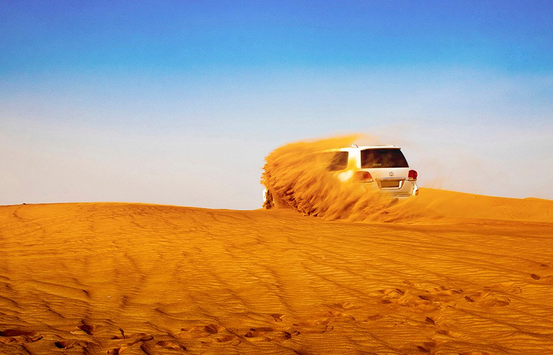 Desert Safari photo IMG_2728