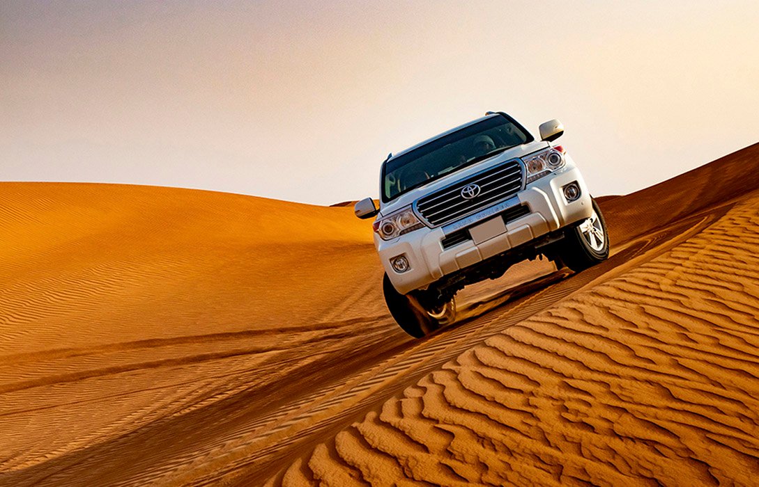 Desert Safari photo IMG_2758